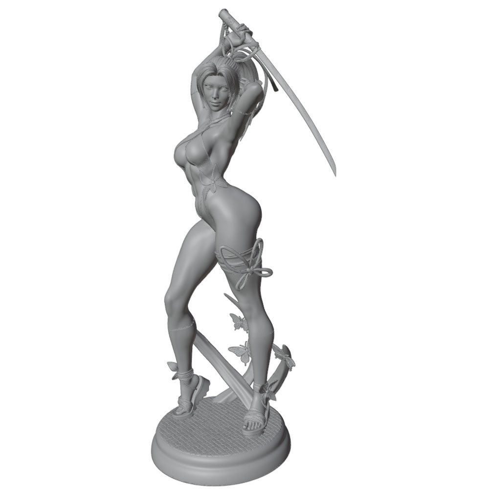 1/24 Feminino 	 Kits de modelo - 3D Printing App avaliação e preço